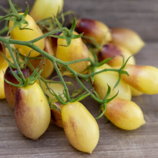 СКАЗОЧНЫЙ АНГЕЛ СЛИВОЧНЫЙ   Märchenengel