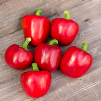 СЛАДКИЙ ЛЕПЕСТОК