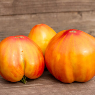 СОЛНЕЧНЫЙ ГУРМАН Gourmansun