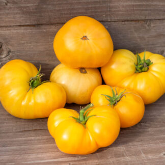 СОВЕРШЕННАЯ ГАРМОНИЯ Dwarf Perfect Harmony