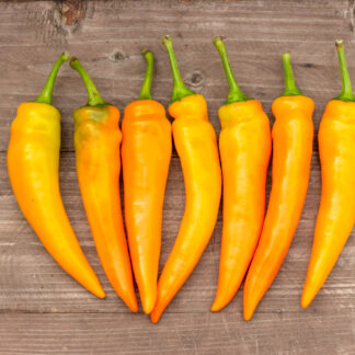 ТЕКИЛА САНРАЙЗ Tequila Sunrise