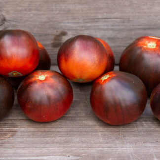 ТЕМНОЕ ПЛАМЯ САЛЬВИИ Silvia’s dark flame