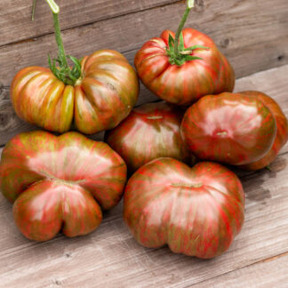 ВЕНЕЦИАНСКОЕ СТЕКЛО VENETIAN GLASS