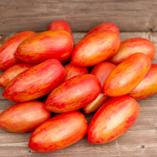 РАДУГА ВЕСЕЛКА