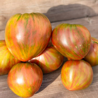 ВОЛШЕБНАЯ РАДУГА