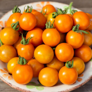 САНТЬЯМ САНРАЙЗ Santiam Sunrise