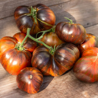 ВОСТОРГ ДИППЕРА Dwarf Dipper’s Delight