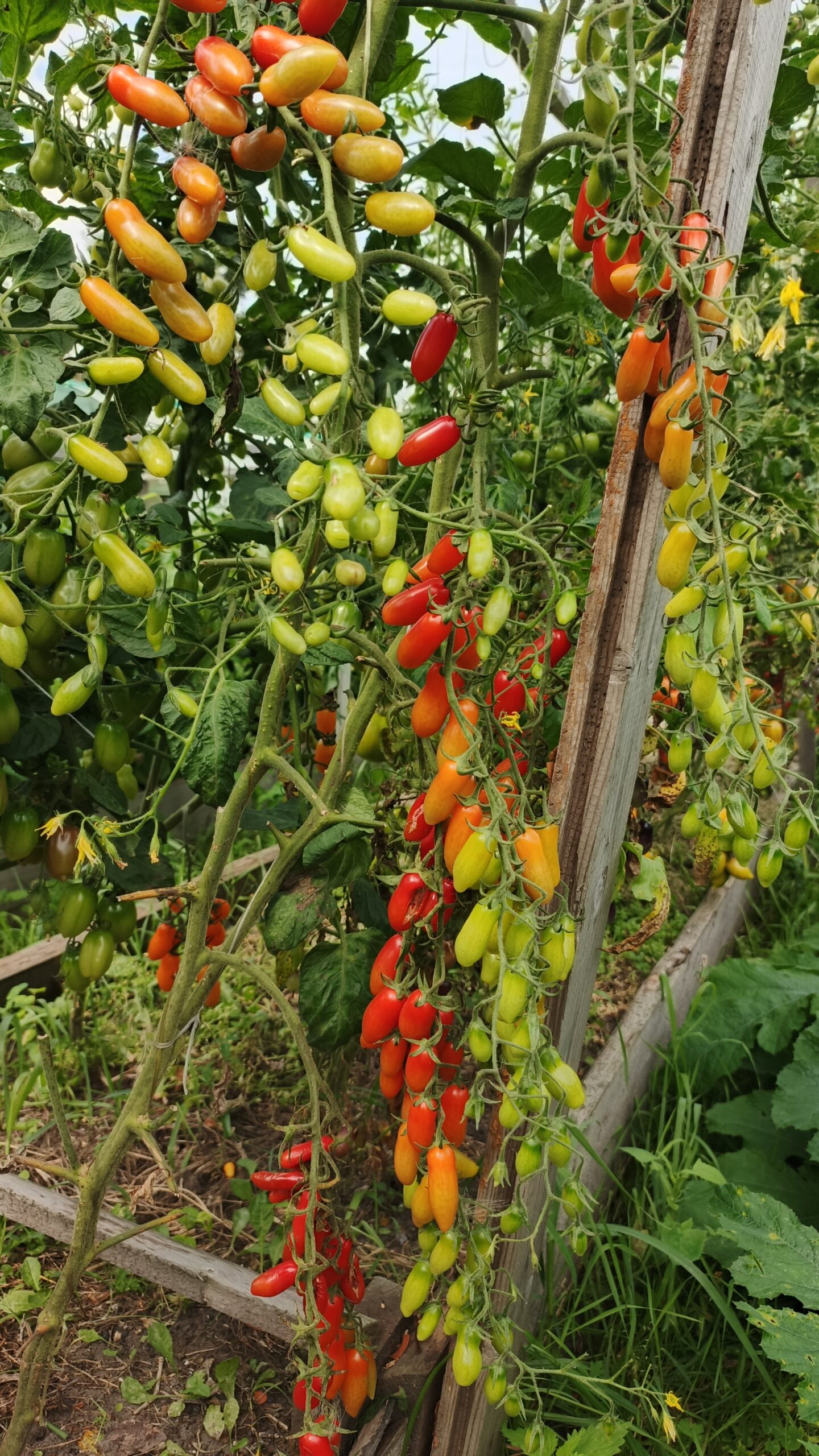 NN ЯРСОН 9 — изображение 2