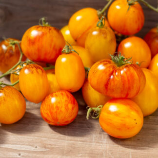 ЗОЛОТОЙ ЧАС Golden hour