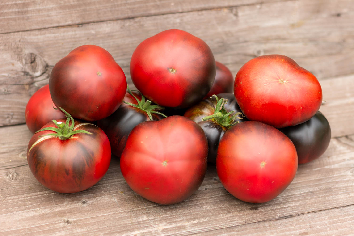 БОЛЬШОЙ ЧЕРНЫЙ ТОМАТ Grand black tomato — изображение 4