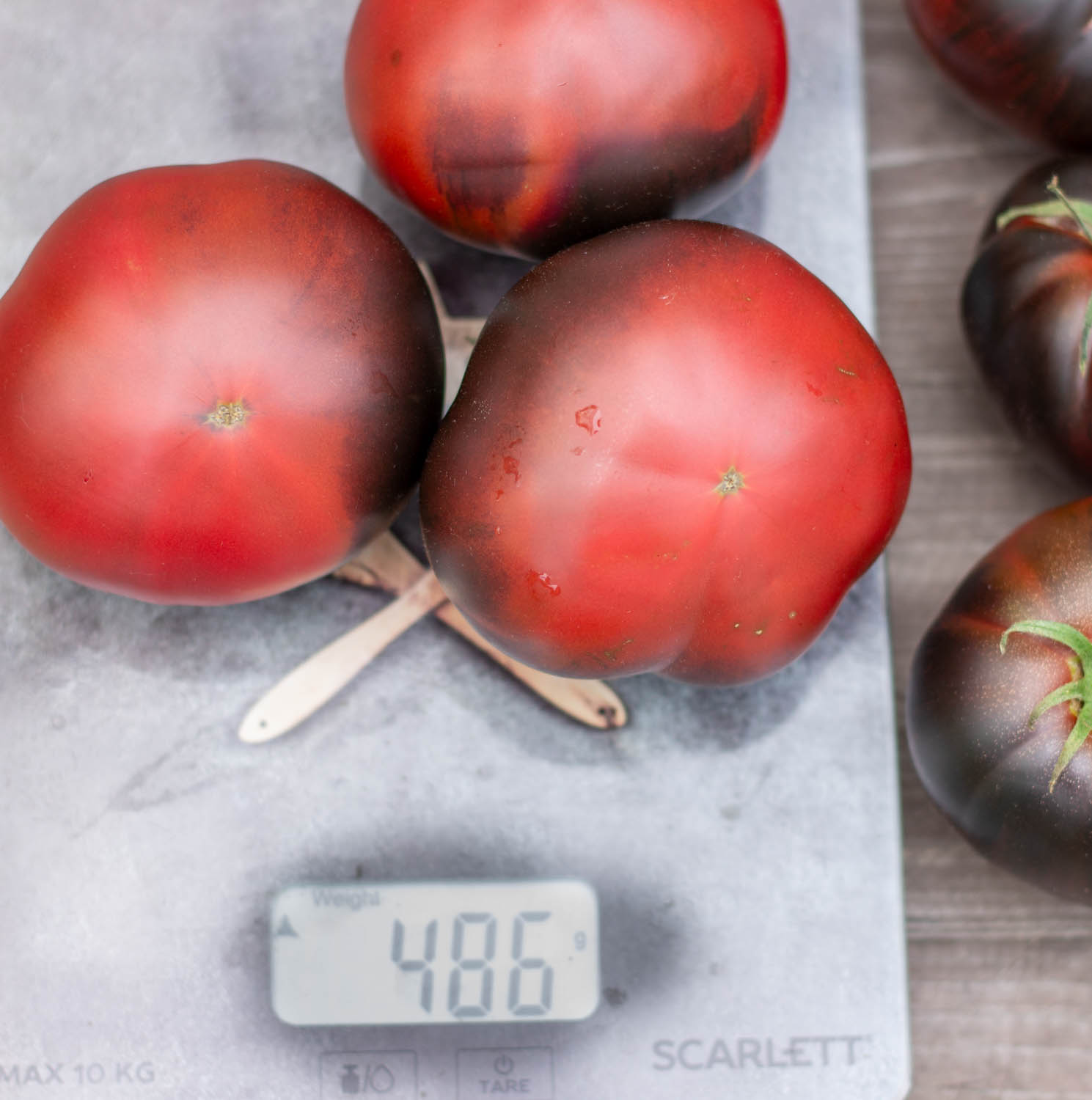 БОЛЬШОЙ ЧЕРНЫЙ ТОМАТ Grand black tomato — изображение 5