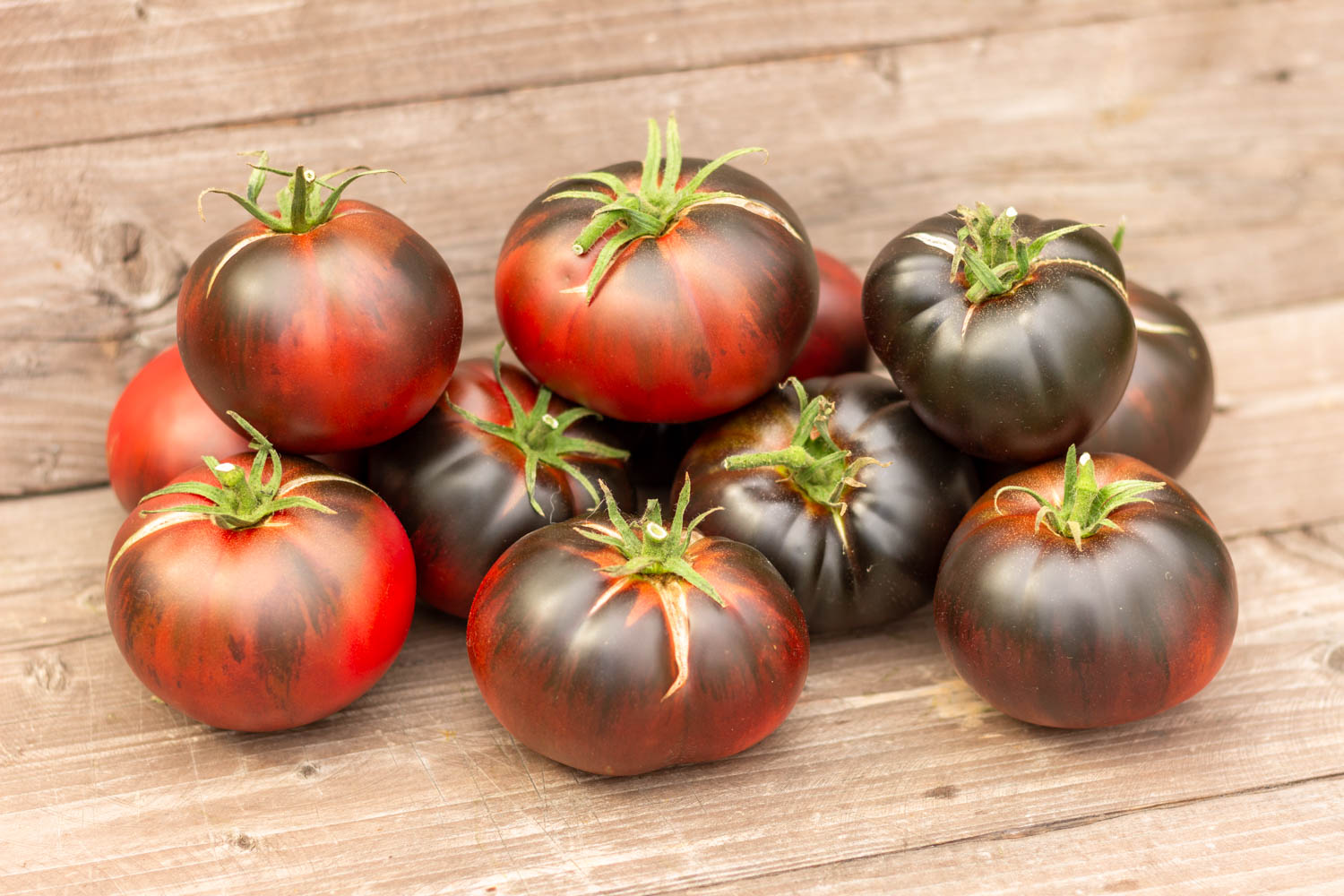 БОЛЬШОЙ ЧЕРНЫЙ ТОМАТ Grand black tomato
