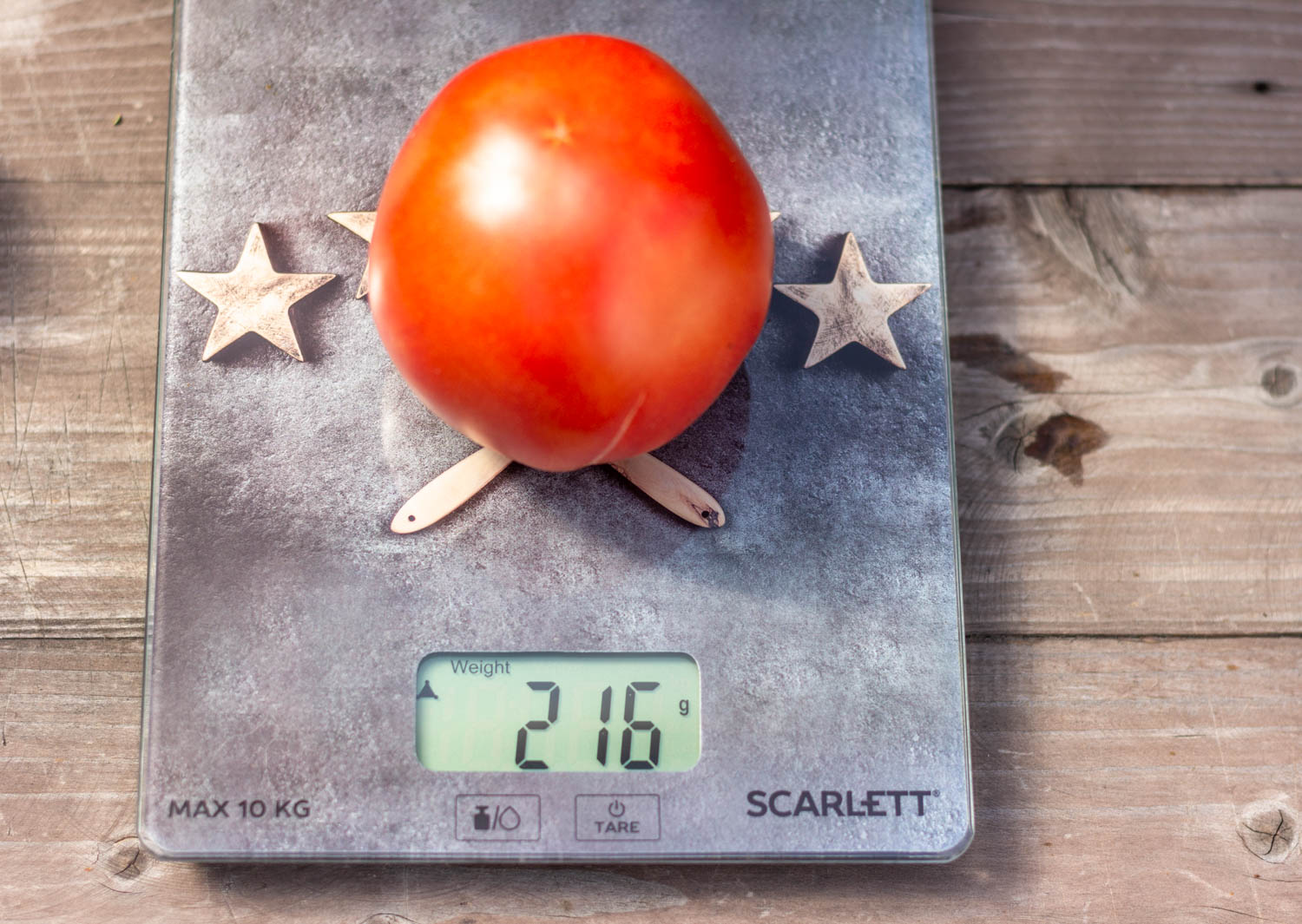 МАДОННА ДЕЛЬ ПАСКОЛО Madonna del Pasсolo — изображение 2