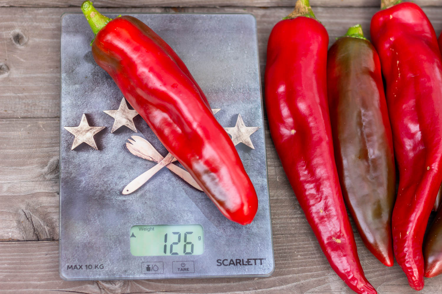 ХЭТЧ Hatch chile — изображение 3