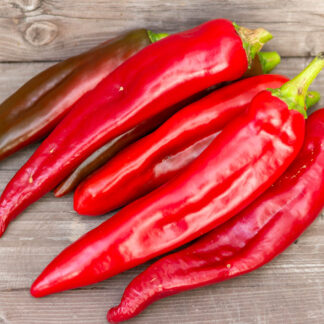 ХЭТЧ Hatch chile