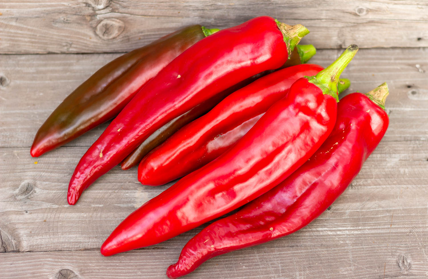 ХЭТЧ Hatch chile