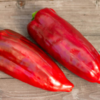 НЕЖЕРАНСКИЙ NAJERANO PEPPER
