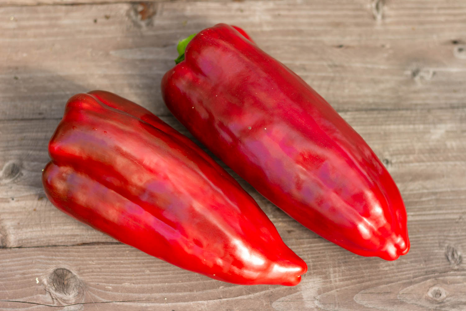НЕЖЕРАНСКИЙ NAJERANO PEPPER